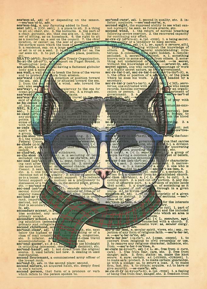 Cat with Headphones
