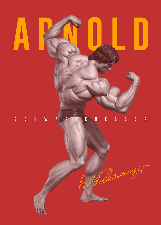 Arnold Schwarzenegger Gym