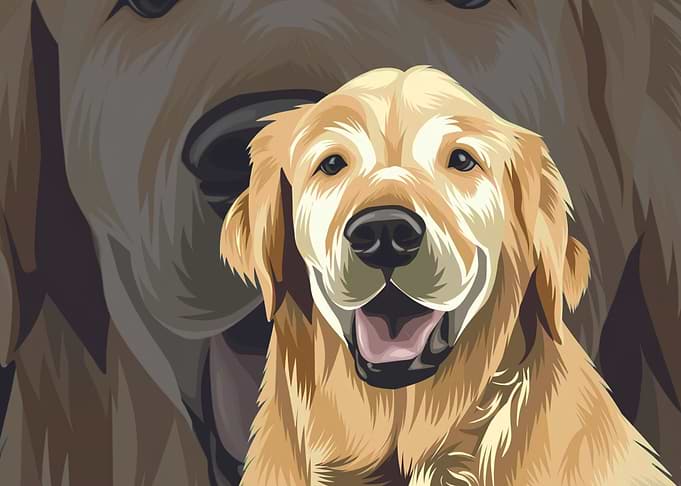 The Dog
