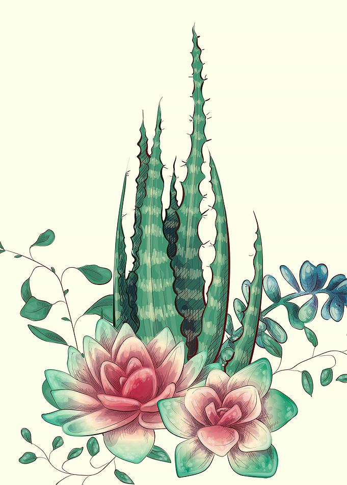 Aloe Vera over Flowers