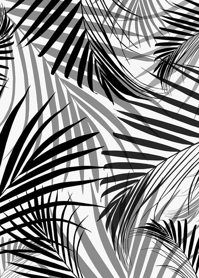 Black Palm Leaves Dream 3