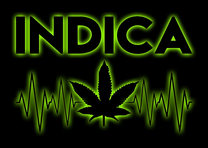 Cannabis Weed Marihuana