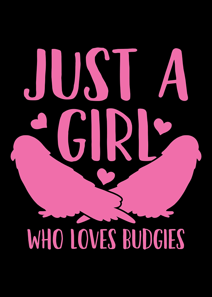 Budgies Budgie Lover