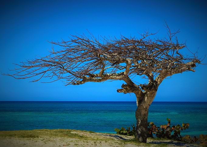 Cuba Beach
