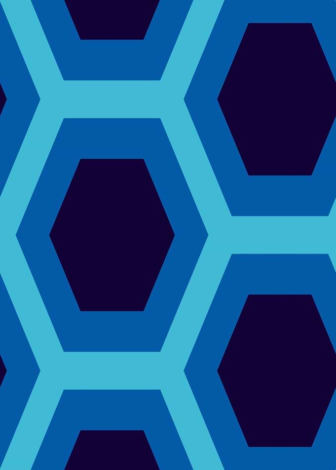 Hexagon Hive