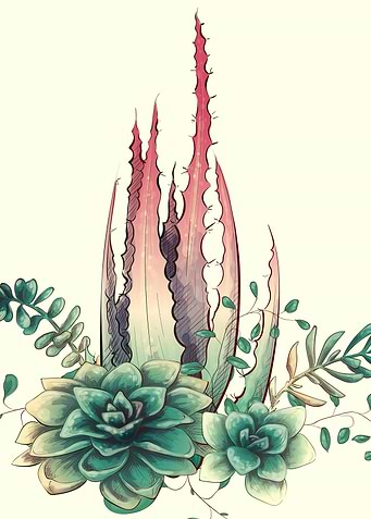 Beautiful Aloe Vera