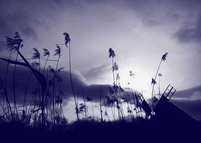 Blue wind