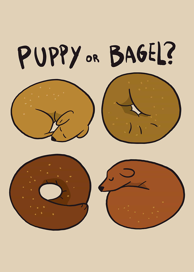 PUPPY OR BAGEL