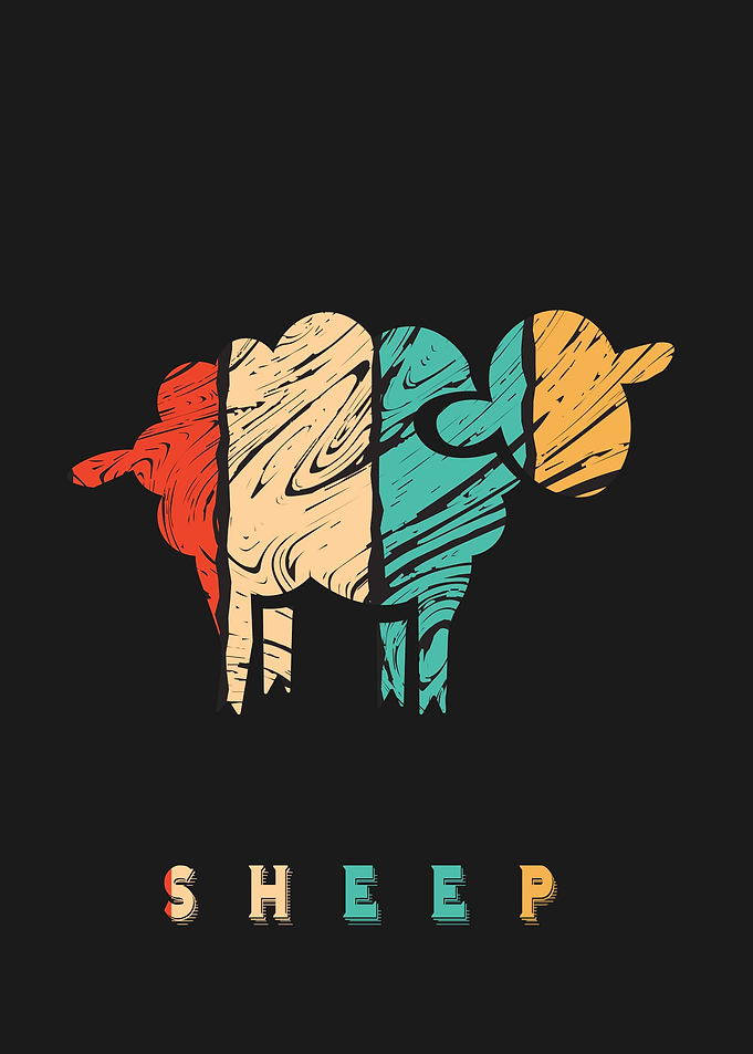 Sheep