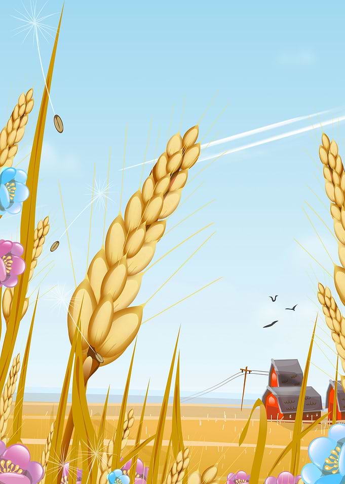 Farmyard
