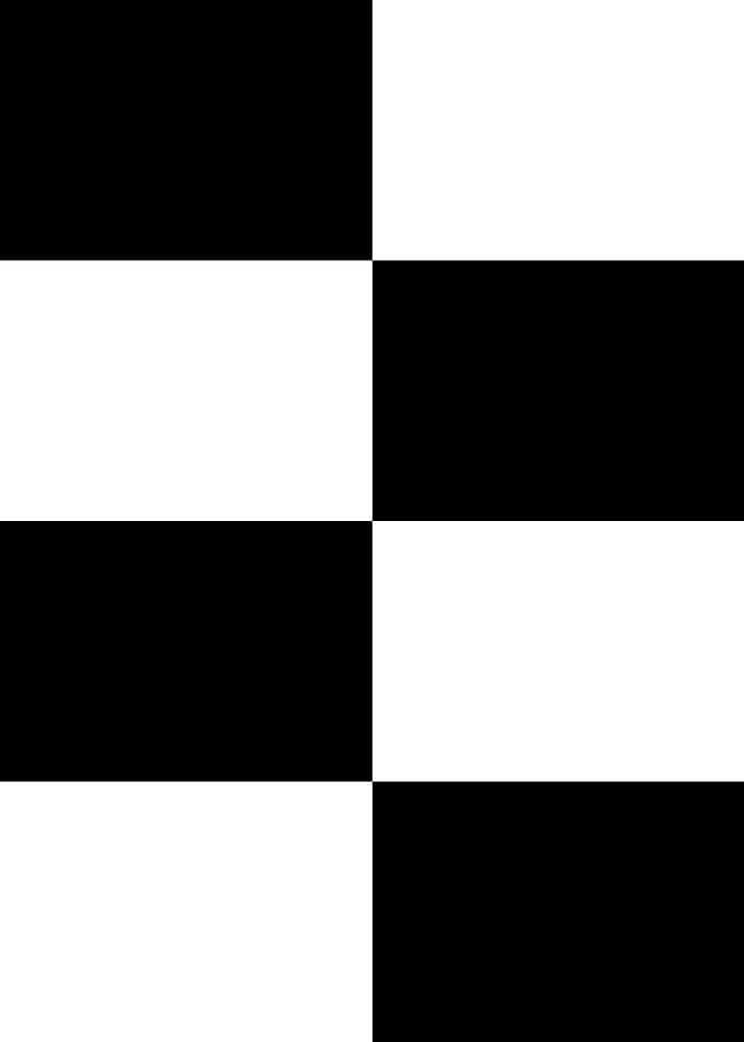 Checkerboard Negative