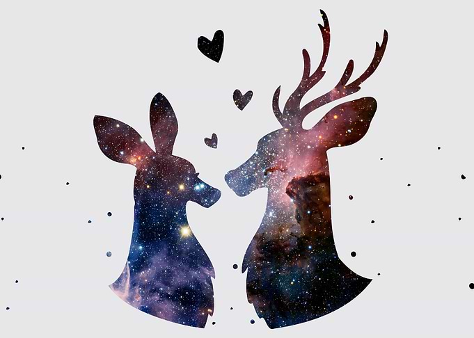 Deer couple