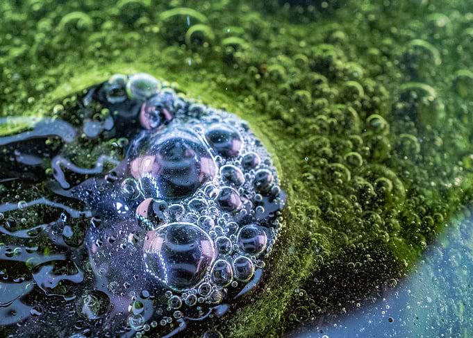 Bubbles 14