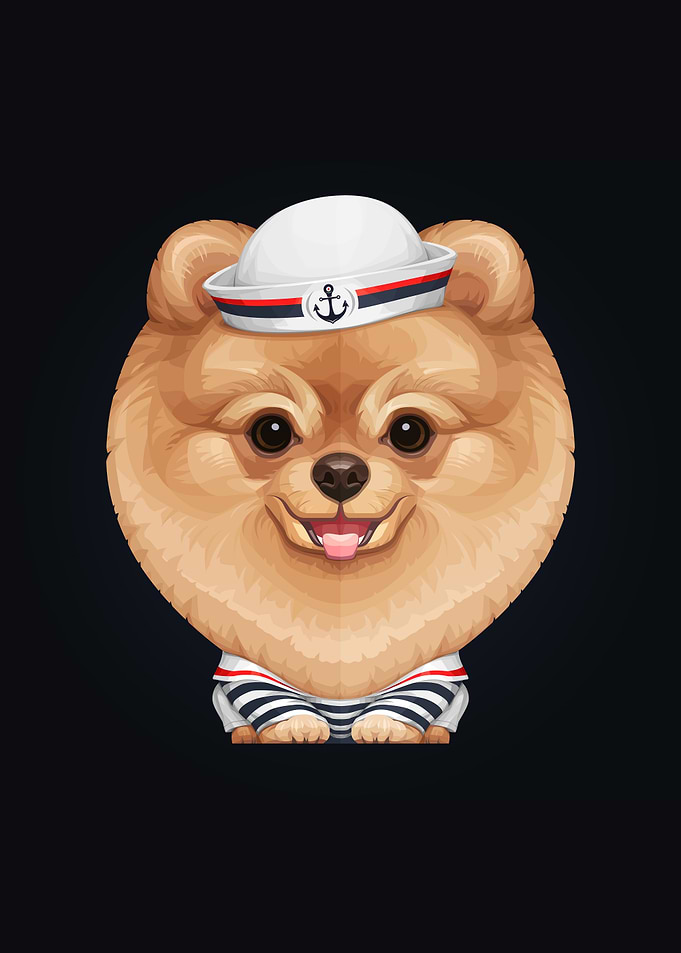 Pomeranian Sailor