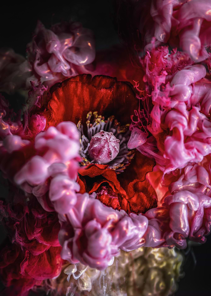Softly Nature