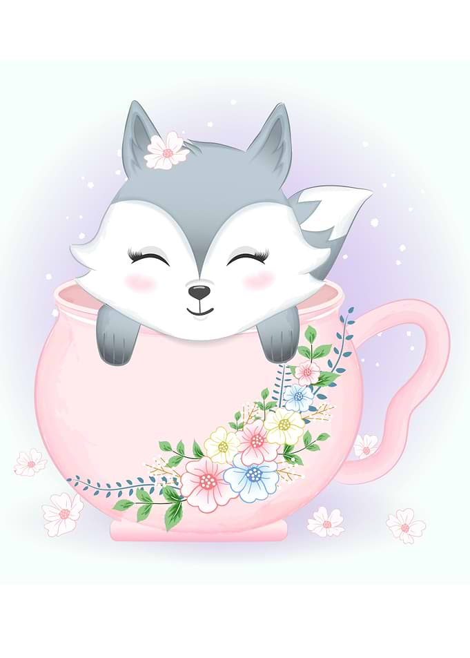 Cute fox