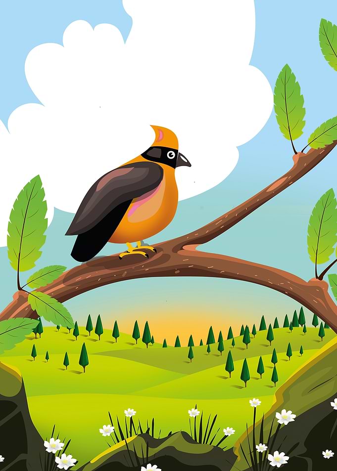 Cute little bird