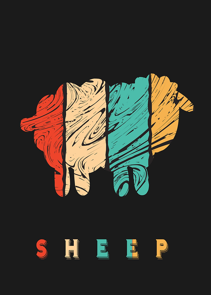 Sheep