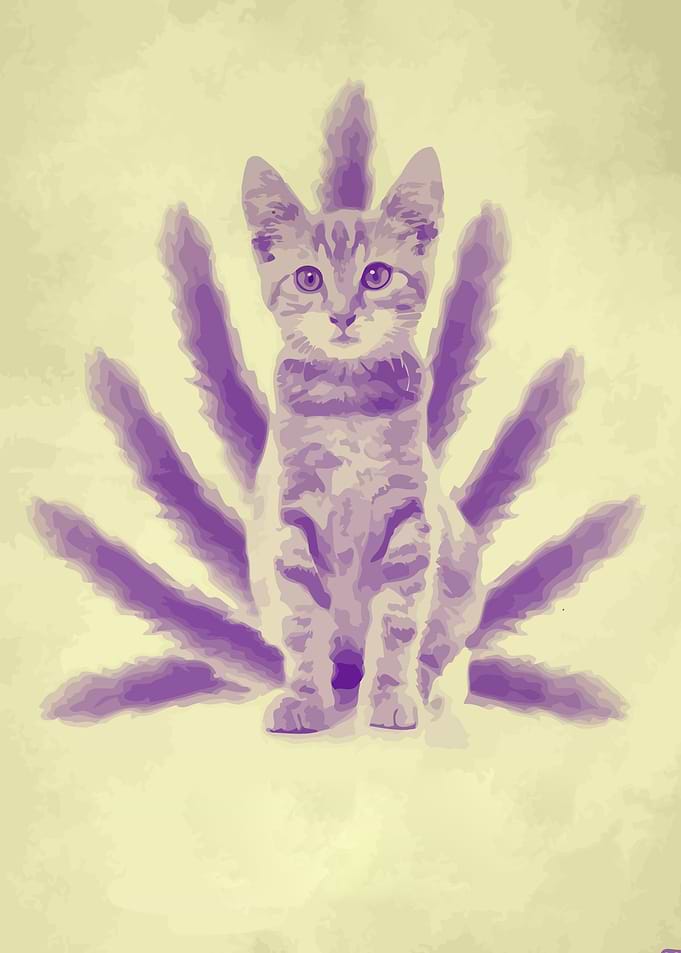 Cat kitsune