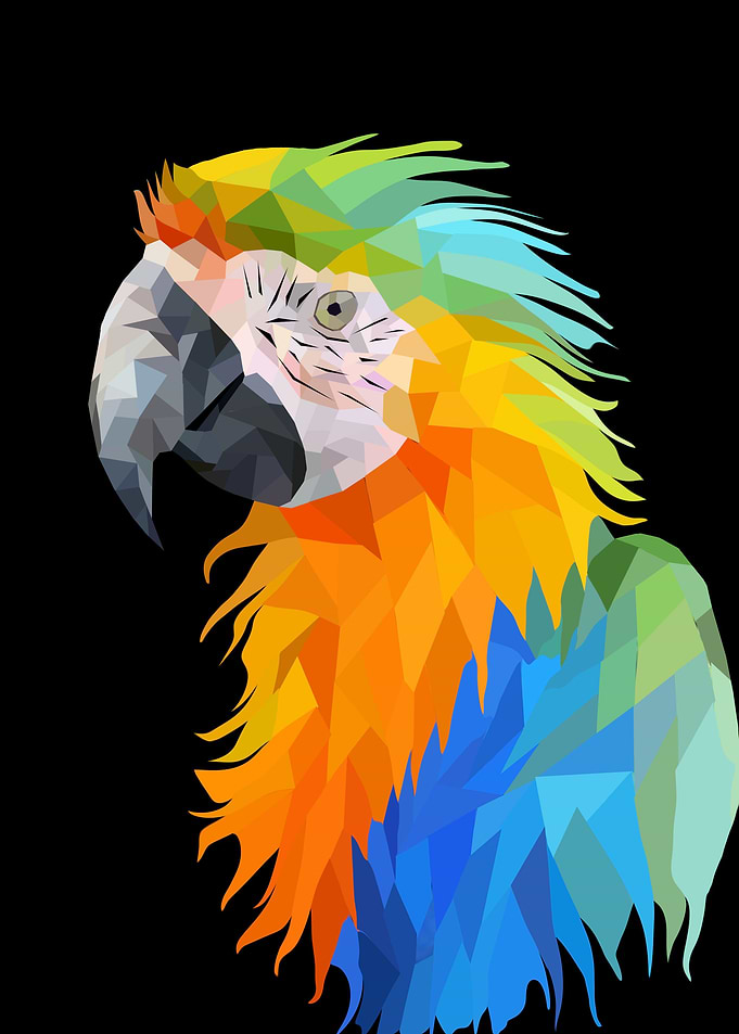 Parrot Ara