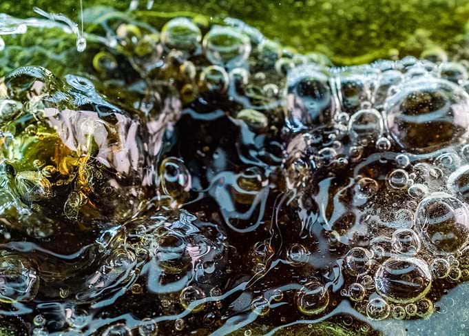 Bubbles 11