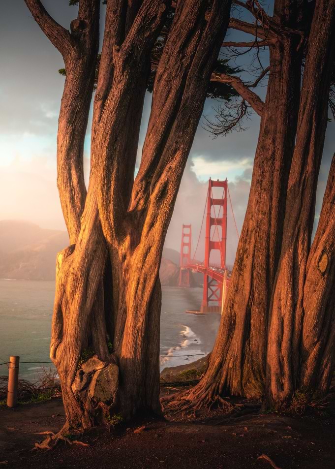 San Francisco 38