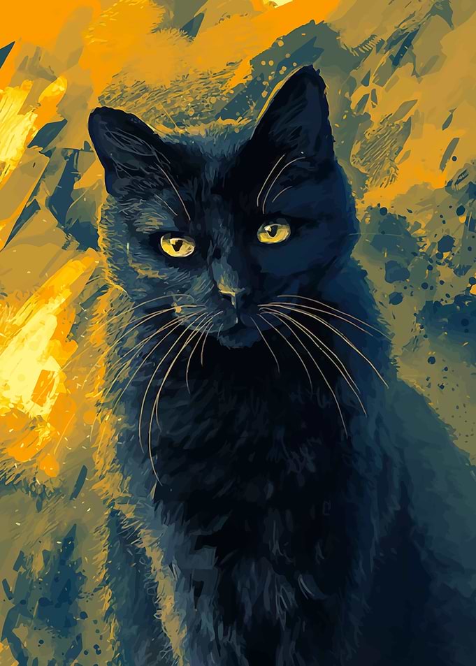 Black Cat