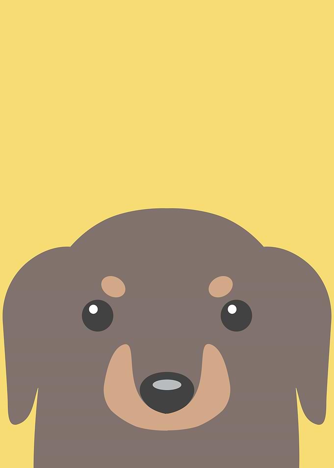 Cartoon Otter
