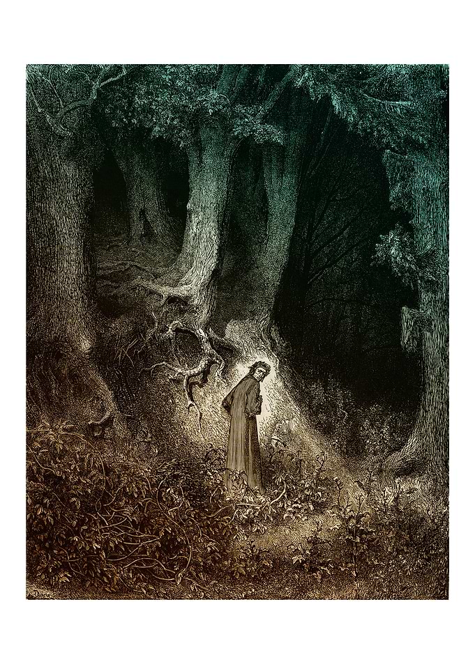 Into the Forest
