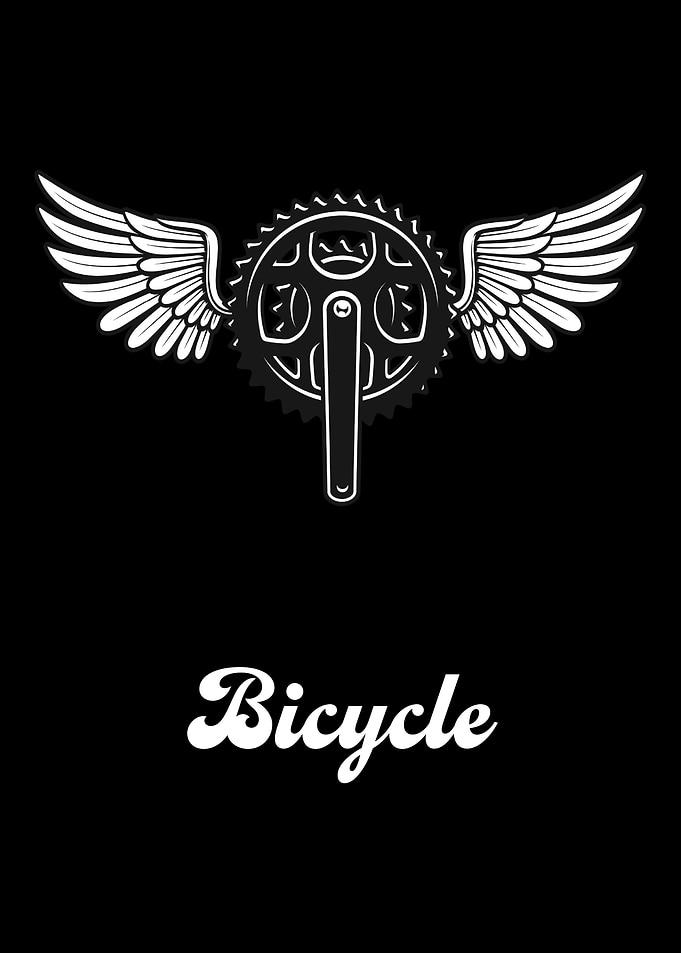 Bicycle mountain bike road
