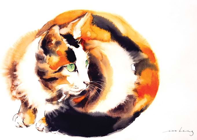 Ginger Cat