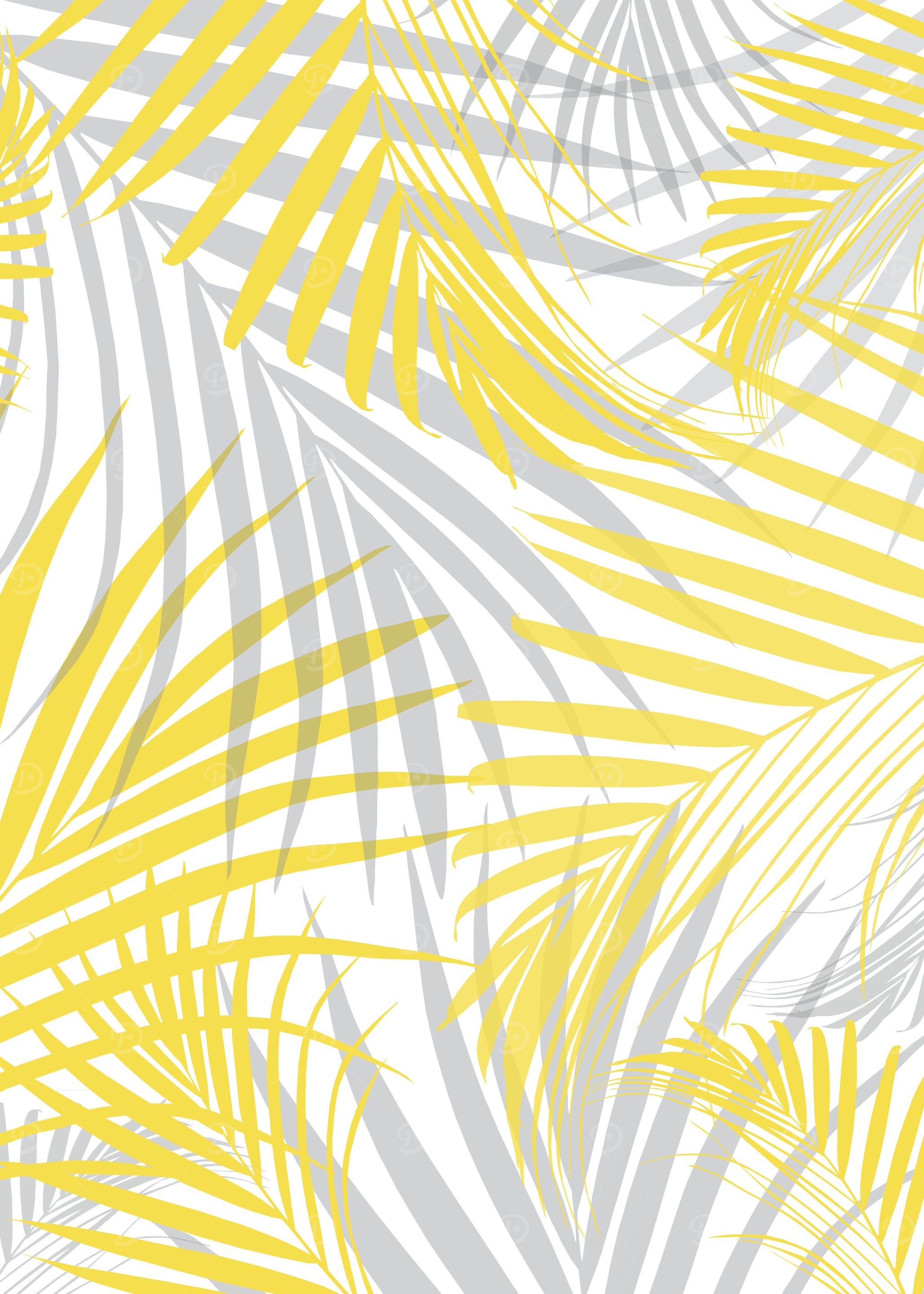 Illuminating Palm Leaves 2
