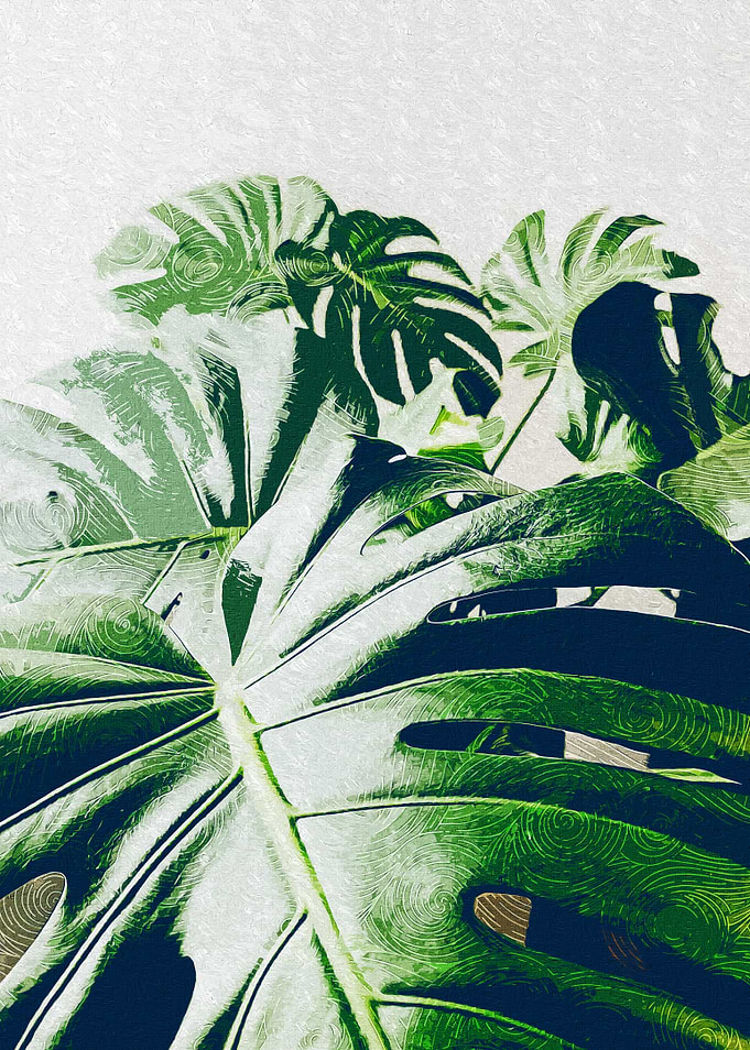Bunch Of Monstera Leaves