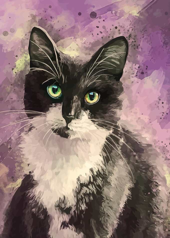 Black Cat