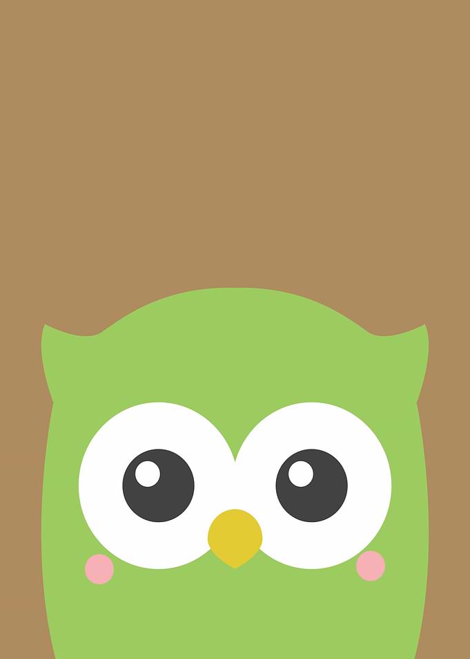 Cartoon Owl