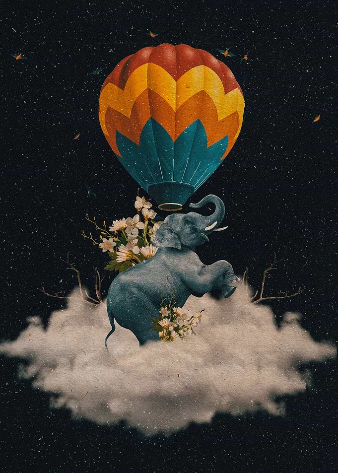 Lphant V2020