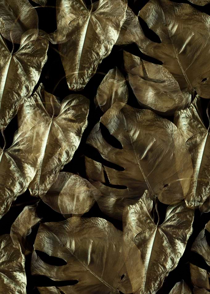 Golden leaves