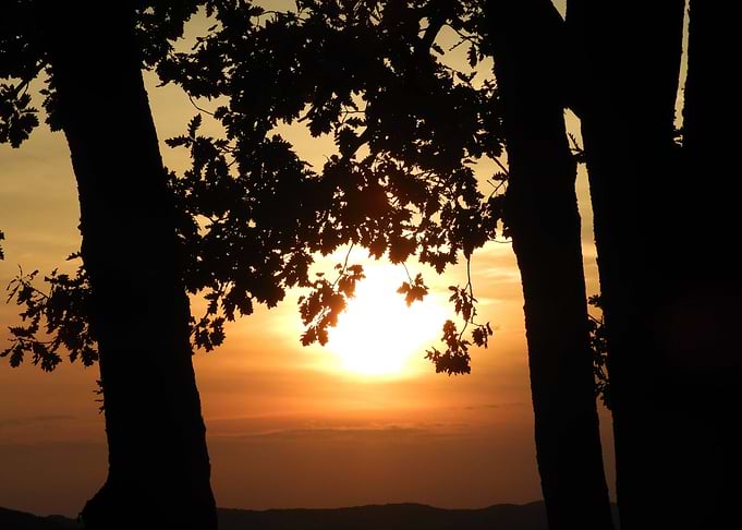 Sunset