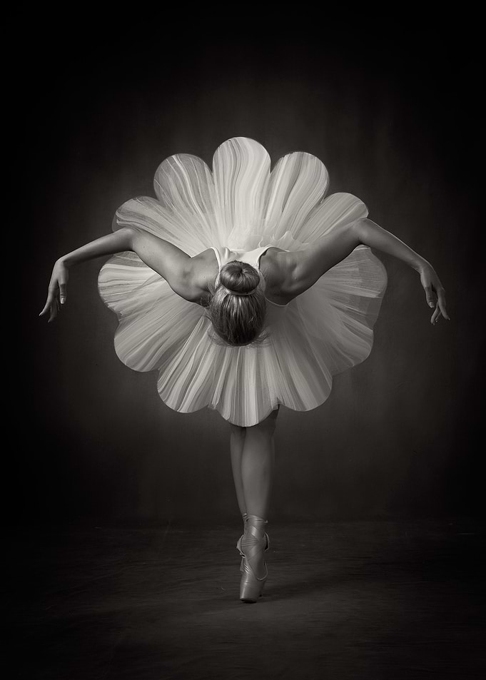 Floral Ballet