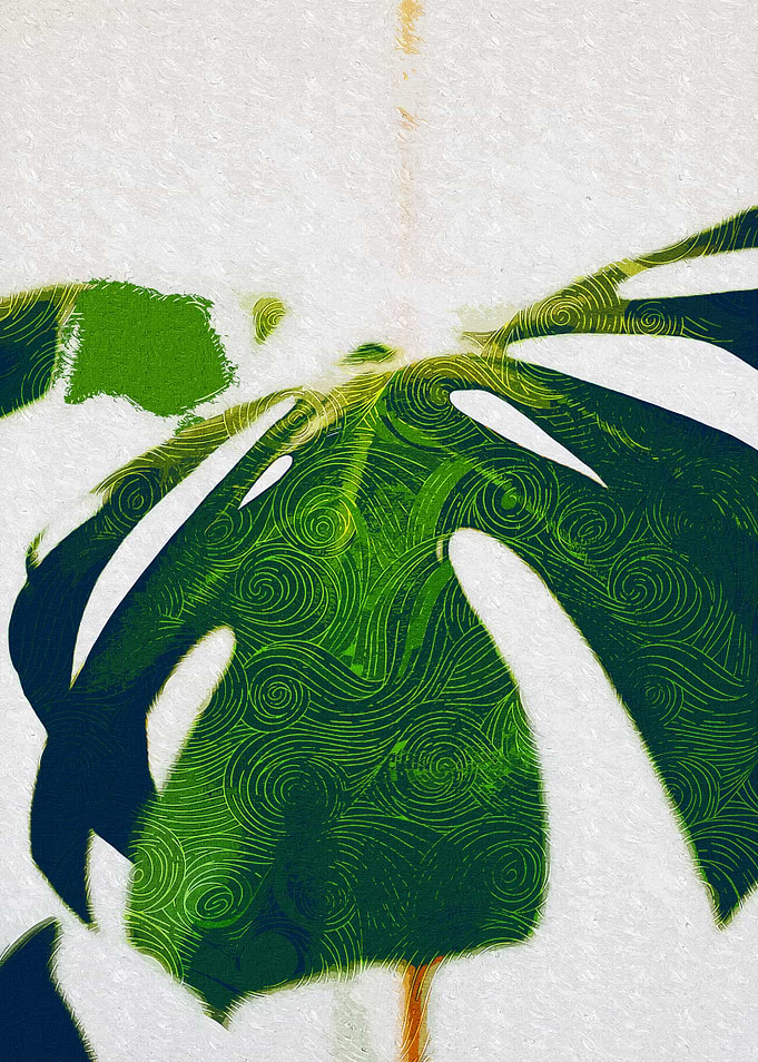 Monstera Leave Hanging