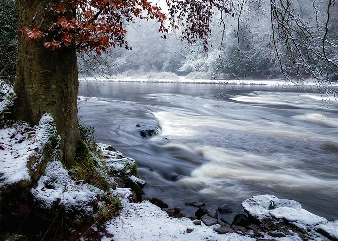 Frosty stream