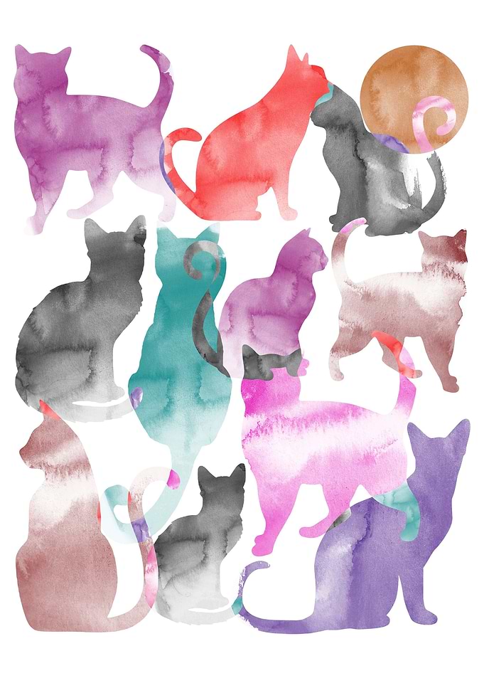 Cats strokes