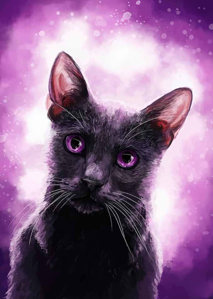Black Cat