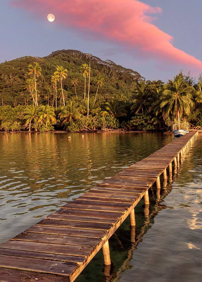 Moonlit Pink Sunset