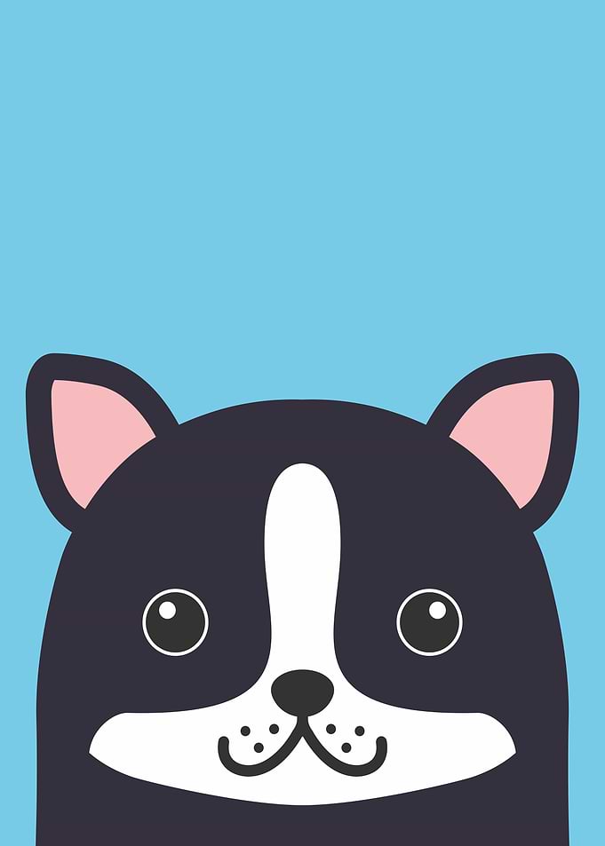 Cartoon Dog