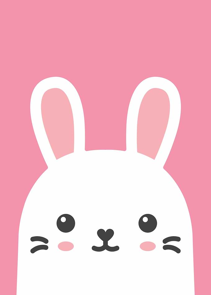 Cartoon Rabbit