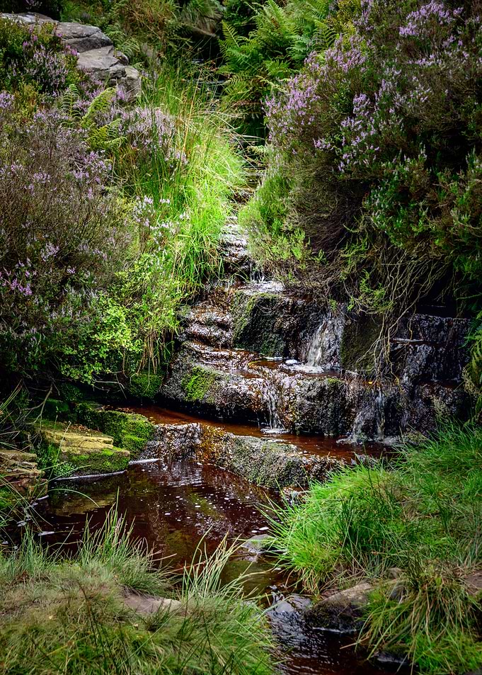 Nature Landscape