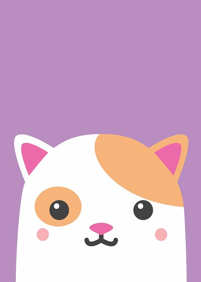 Cartoon Cat