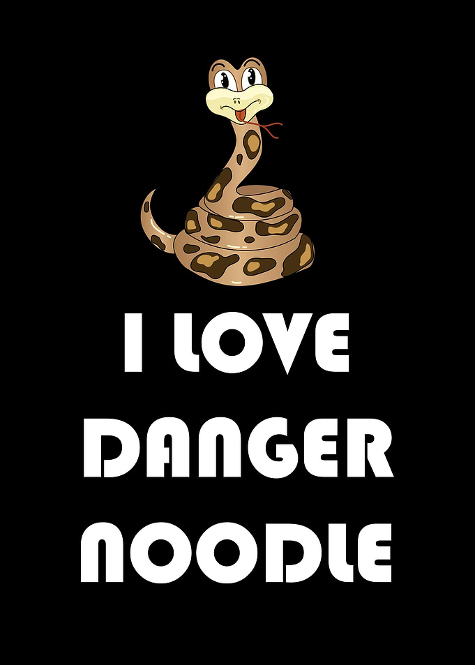 Ball Python Funny Gift For