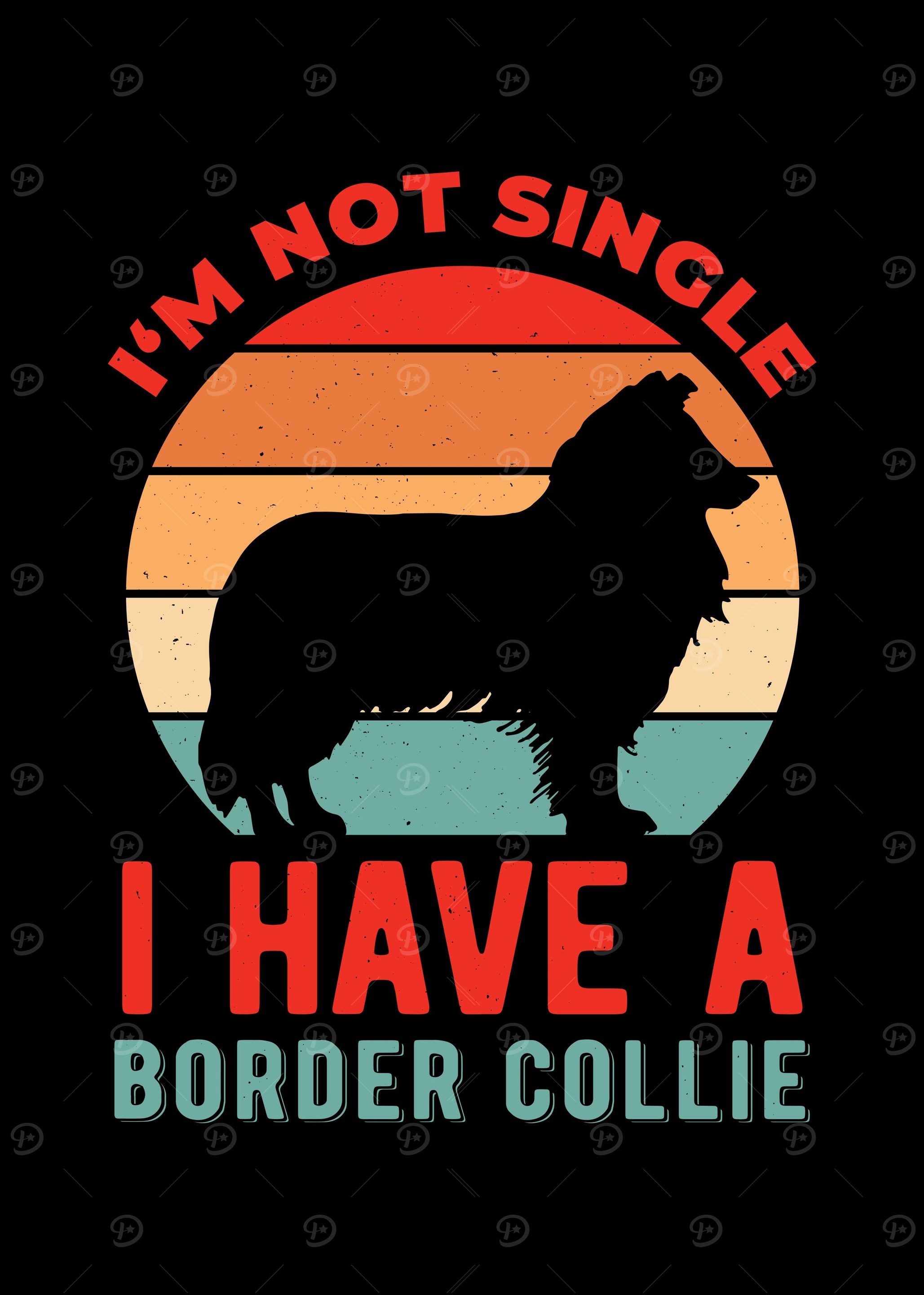 Funny Border Collie